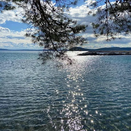 Vlatka Split