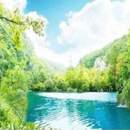 Apartment Vlatka Split